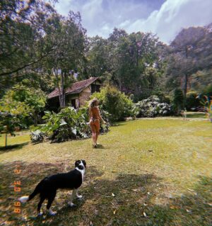 Letícia Spiller Instagram - Oncinha pintada chegou na morada 
Onde é encantada 
🙏🏽🐆🧡💫