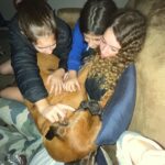 Letícia Spiller Instagram - Dump do último final de semana, cheio de afeto, música e boas energias! Axé!