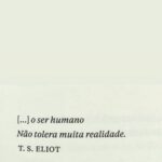 Letícia Spiller Instagram - Sobre as lonjuras do pensamento feminino ascendente: Poesia não é perda de tempo Dorme o pequeno cão ao meu lado como se nem mesmo o insuportável trânsito de sexta-feira importasse Cão o tempo? Penso juras de amor ao pé do ouvido zerar toda reza, servir ao que vale a pena, fertilizar o solo nosso de afetos, fetos, photos photosfera existe? E o cão parece zombar de mim , teimosa que sou Tudo que salva é a visão de um ser humano em seu pleno vigor e beleza e que assombra, vigora no espaço-tempo de minha peña , que não é pena ; é paisagem de ave que se lança ao sonho, que sente ser ainda melhor que as coisas “reais” Meu pensamento é livre e ele não para de de voar... Longe do carro Longe do cão 📷 @maripatriotainsta @pprovador