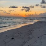 Levan Goroziya Instagram - Однажды вечером, где-то в Индийском океане ❤️ Vakkaru Maldives