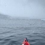 Levan Goroziya Instagram - Точно один из самых запоминающихся дней в этом году. Атлантический океан. Идет снег. Я в каяке, как в красном болиде рассекающем воду. Айсберги на расстоянии руки. Кит плавающий рядом. И улыбка не сползающая с лица ни на секунду. Спасибо @transformator.travel за заботу в этом приключении и эти эмоции на всю жизнь.