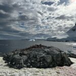 Levan Goroziya Instagram - Антарктида, привет! Давно не виделись. Ты все так же прекрасна! Antarctica