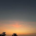 Levan Goroziya Instagram – The Strange life of Bong Levan