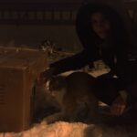 Leyla Lydia Tuğutlu Instagram - Sonunda zaman bulduk ve kedi evimizi yaptık😺sizden ricam onlara soğuktan korunabilecekleri bir yer yapmanız ve mama koymanız😽🐾