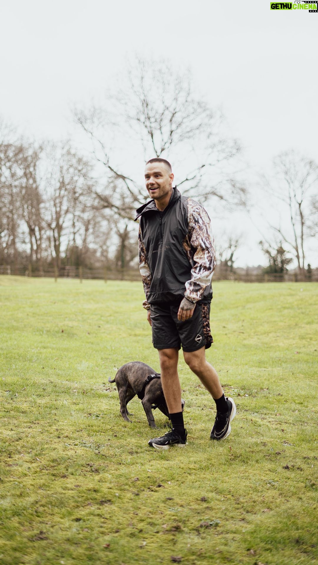 Liam Payne - 161.5K Likes - Off on my afternoon run, of course Stan attempts to keep up š