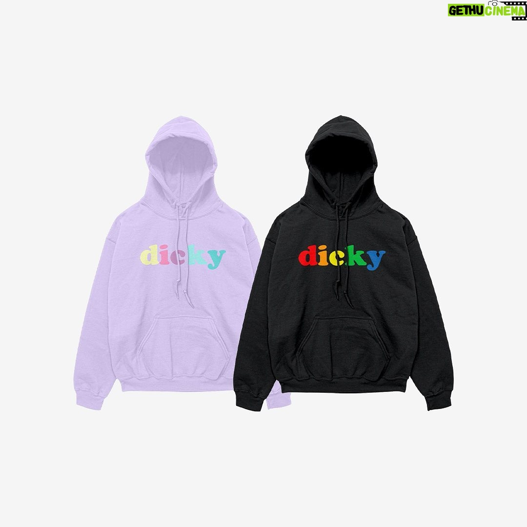 Lil Dicky Instagram - new merch up at lildickymerch.com