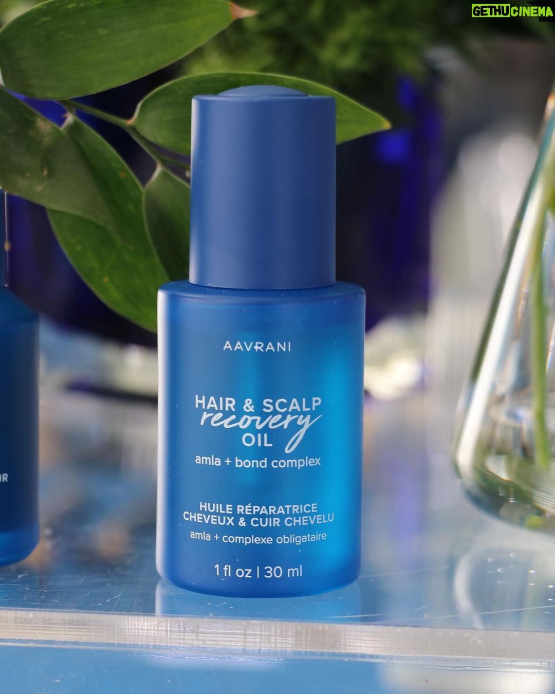 Lilly Singh Instagram - Hosted a lunch to celebrate my upcoming hairline launch with @AAVRANI. And I hosted it at my house because this isn’t just business, it’s personal. My hair is everything to me. I don’t take it lightly and that’s not just because it’s heavy af… I’m excited to finally announce our four upcoming products: 💙 Hair Density Boosting Treatment 💙 Hair and Scalp Recovery Oil 💙 Deep Conditioning Hair Mask 💙 Dry Scalp Rescue Serum All tested by yours truly over the past year. And, works on all hair types. Available on Sephora.com March 12! Your hair and scalp want you to mark your calendar 🗓️ PS: I initiated an impromptu hair oiling session at this lunch and I regret absolutely nothing.