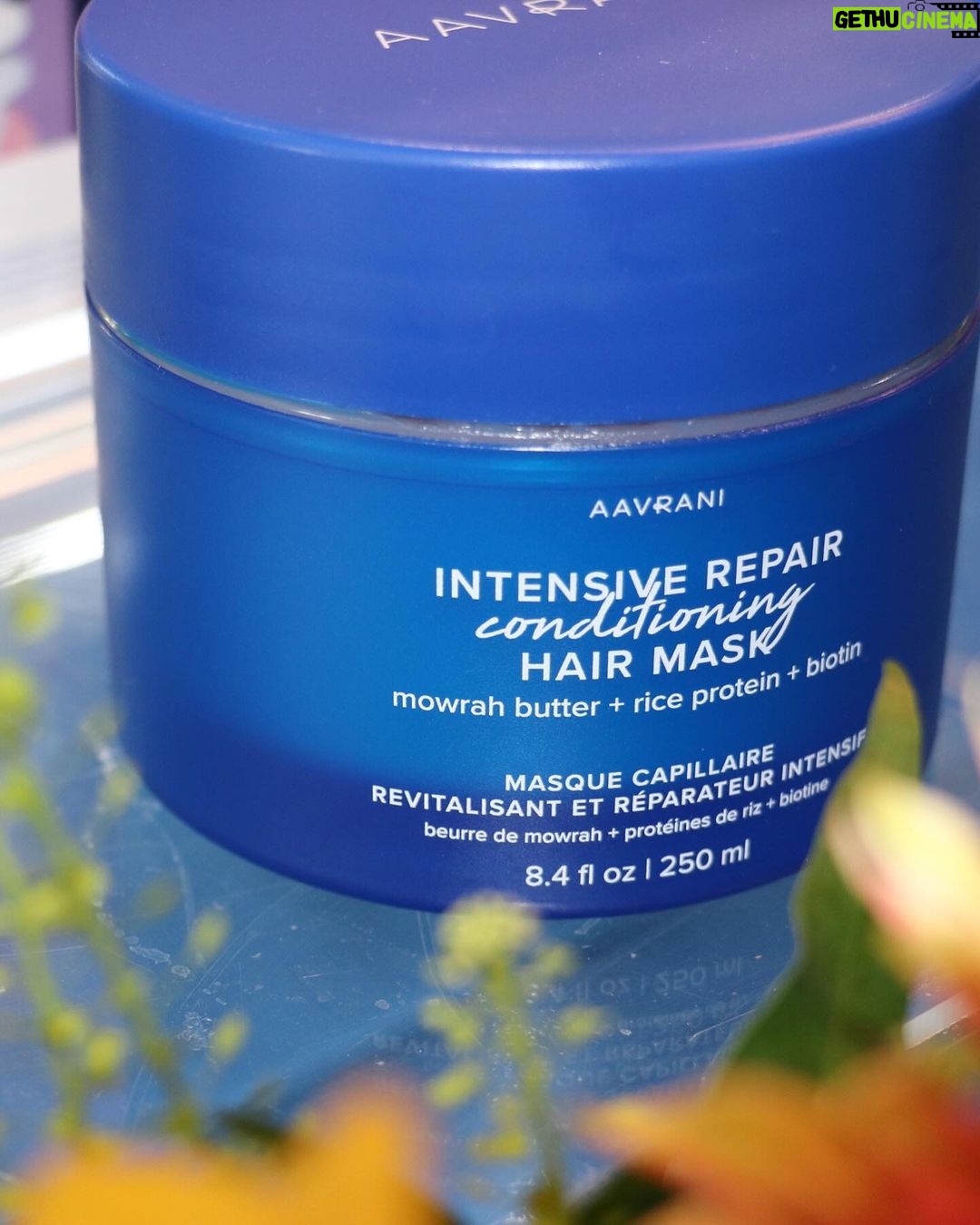 Lilly Singh Instagram - Hosted a lunch to celebrate my upcoming hairline launch with @AAVRANI. And I hosted it at my house because this isn’t just business, it’s personal. My hair is everything to me. I don’t take it lightly and that’s not just because it’s heavy af… I’m excited to finally announce our four upcoming products: 💙 Hair Density Boosting Treatment 💙 Hair and Scalp Recovery Oil 💙 Deep Conditioning Hair Mask 💙 Dry Scalp Rescue Serum All tested by yours truly over the past year. And, works on all hair types. Available on Sephora.com March 12! Your hair and scalp want you to mark your calendar 🗓️ PS: I initiated an impromptu hair oiling session at this lunch and I regret absolutely nothing.