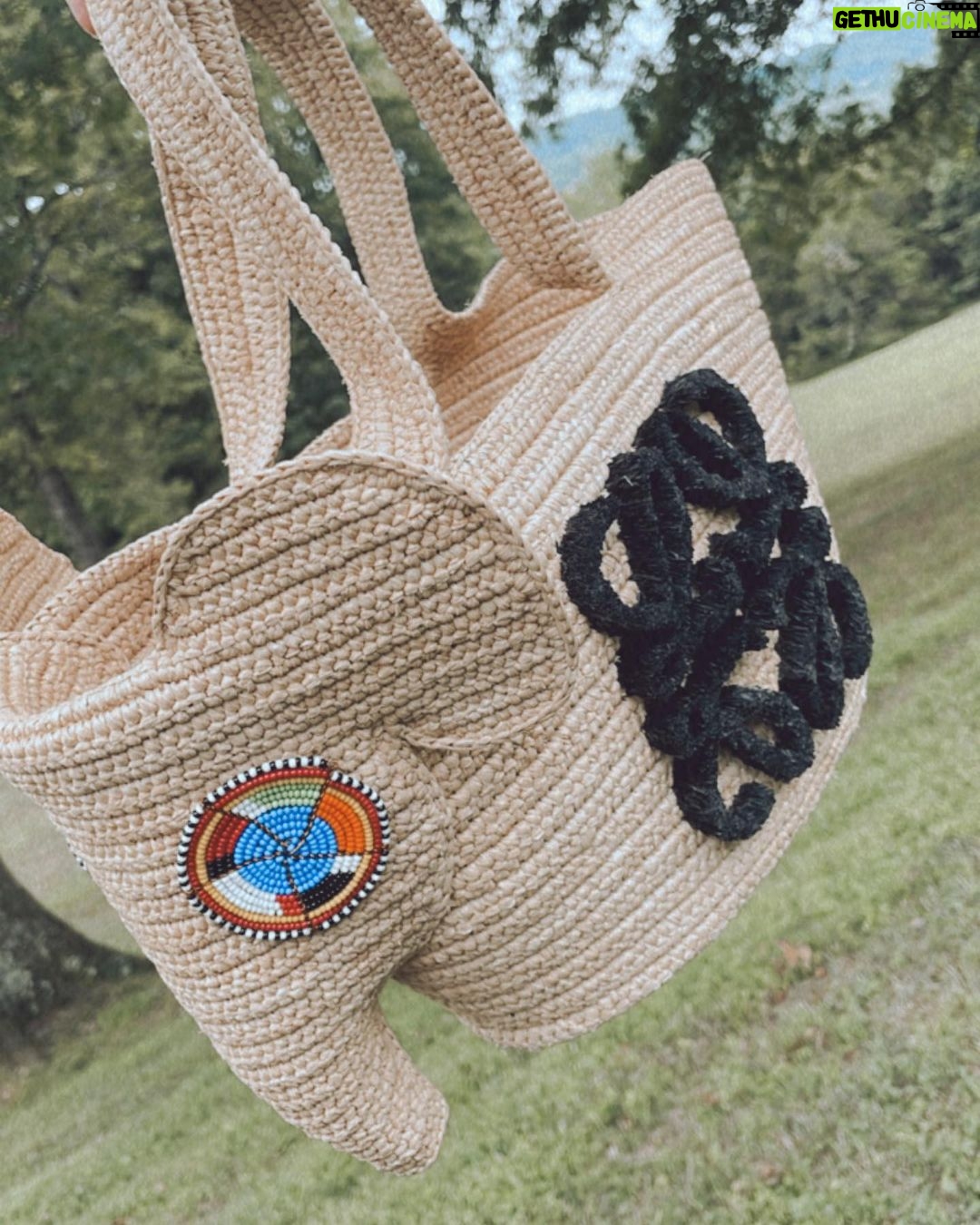Lily Aldridge Instagram - This @LOEWE Elephant basket bag has been created in collaboration with the #KnotOnMyPlanet campaign. Its eyes are hand-beaded by Samburu craftswomen 🐘 The proceeds go to the @ElephantCrisisFund, helping to secure a future for elephants 🫶 Did you know... that elephants lie down for an average of 2 hours a night and snooze during the day standing up 🥰 Shop yours on loewe.com #LOEWEkomp #KnotOnMyPlanet @samburutrust @knotonmyplanet @jonathan.anderson