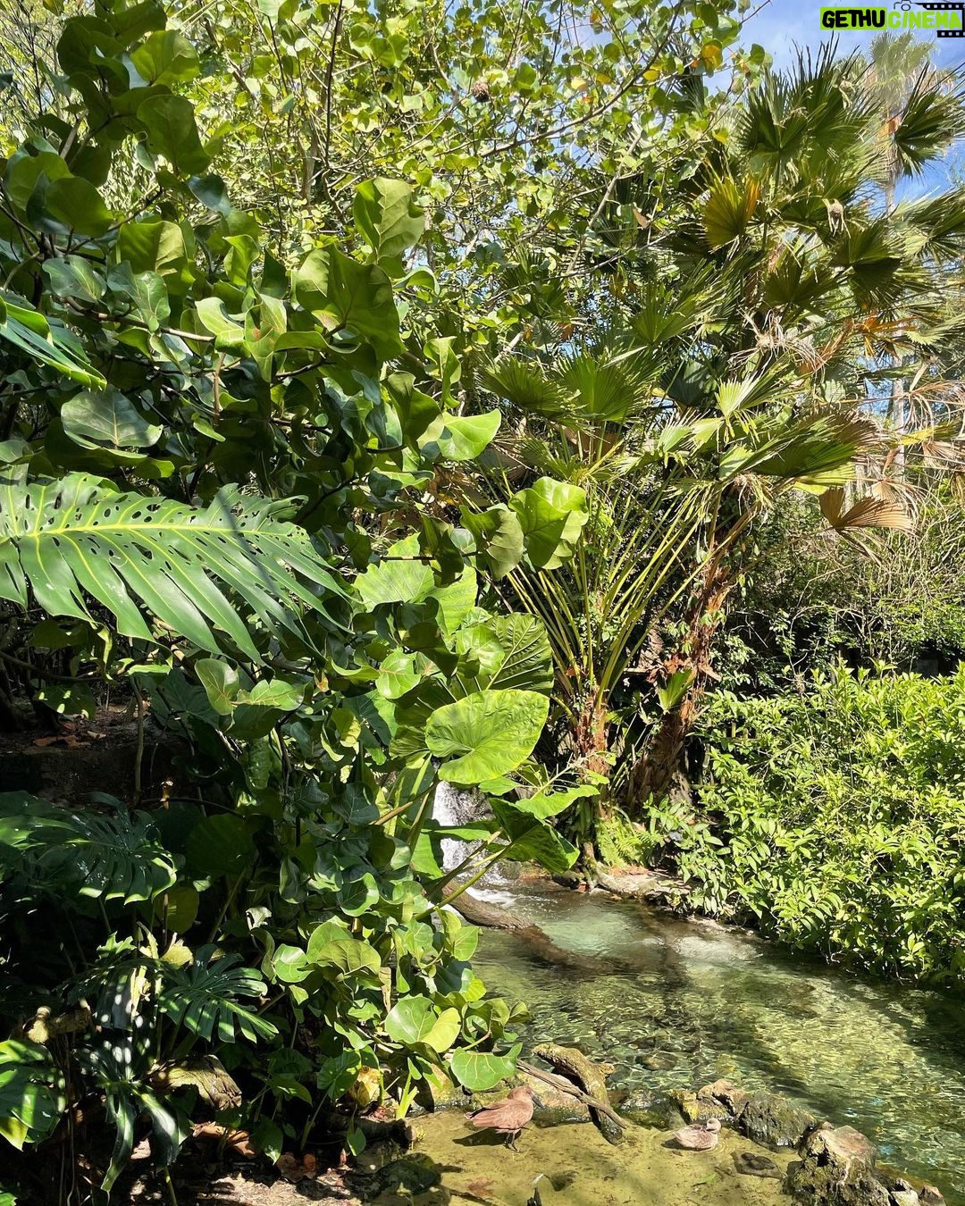 Lily Aldridge Instagram - Perfect Morning with my Sweet Buddy 🥰🐠 Animal Kingdom Disneyworld