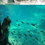Lily Aldridge Instagram – Perfect Morning with my Sweet Buddy 🥰🐠 Animal Kingdom Disneyworld