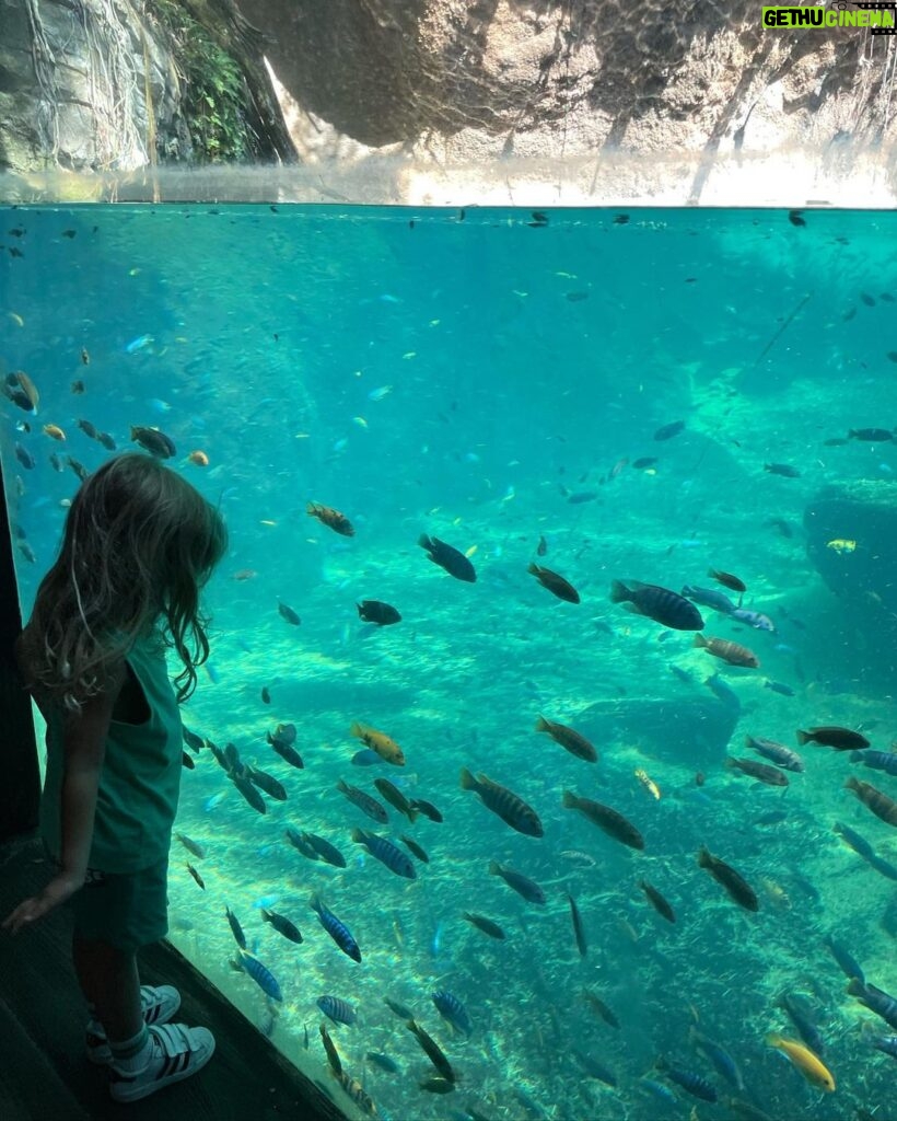 Lily Aldridge Instagram - Perfect Morning with my Sweet Buddy 🥰🐠 Animal Kingdom Disneyworld