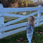 Lily Aldridge Instagram - Smoky Mountains 🖤 Blackberry Farm