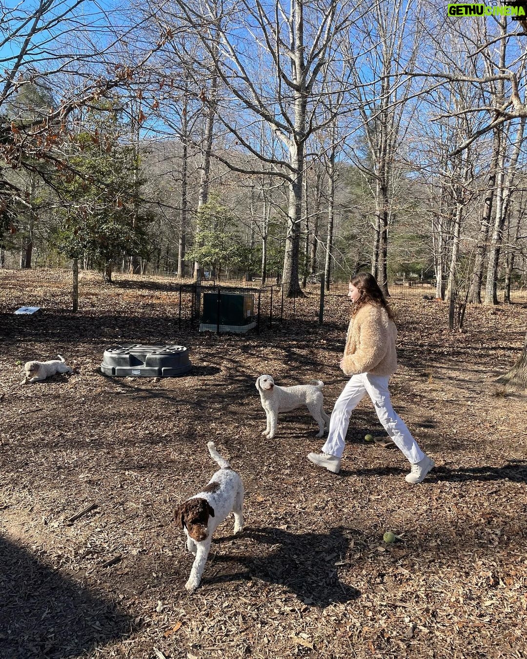 Lily Aldridge Instagram - 2024 🤍 @blackberryfarm