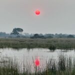 Lily James Instagram – This Botswana Africa