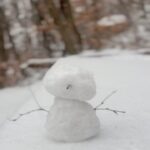 Lim Se-mi Instagram - 눈은 보리의 이불이다 ❄️ 여러분의 눈은 어떤 존재인가요? 세미의절기 ’대설‘ 만나러 유튜브로 오세요 ! 어제 서울독립영화제를 마무리 하느랴 대설 업로드 소식을 놓쳤어요 ! 와주신 분들 반갑고 고맙습니다 ! 🤍 #세미의절기 #대설 #방과후등산활동 #퍼티라이깅
