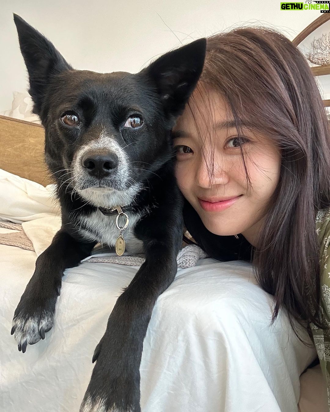 Lim Se-mi Instagram - 세미의 무해한 하루 일과🌼 오전: 대나무 칫솔과 고체 치약으로 양치하기 점심: 물통과 커피텀블러 에코백에 들고나가기 오후: 다회용기에 담아온 비건 음식 먹기 늦은 오후: 흑미랑 비타민 가득 햇살 쬐기 저녁: 흑미 꼬순내 킁킁하고 꿀잠 자기 기후 변화를 매일 느끼는 요즘 조금이나마 지구에 영향을 덜 미칠 수 있는 방법이 뭐가 있을까 고민해요. 매일 조금씩 지구에게도, 나에게도 좋은 일상이 무엇이 있을까 생각해 보았어요. 특별하지 않지만 일상이 되는 것들로 아침에 양치할 때, 매일 물을 마시고 커피를 마실 때, 식당에서 맛있는 비건 음식을 포장해올 때, 다회용기와 에코백을 챙겨 두둑히 담아올 때면 왠지 기분이 좋고 제 자신에게 뿌듯해질 때가 있더라고요. 지구별에 사는 저의 일상! 보러 오실래요? 비거니티(@veganiety_official)에서 확인해 주세요! 💛 비거니티는 '비건+소사이어티' 뜻으로 모든 생명이 존중받는 푸른 지구를 위해 작지만 꾸준한 에코 라이프스타일 실천으로 지속 가능한 변화를 만들어 갑니다. #광고 #비거니티 #veganiety #비거니즘