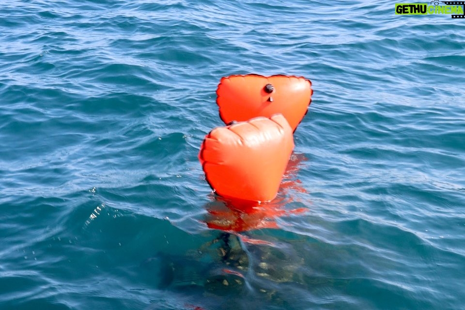Lim Se-mi Instagram - @seashepherd_korea 시셰퍼드코리아 해양정화활동 짧게 담아보았어요. 세미의절기로 오세요 🌊🤿🏴☠️ 34m 바다 아래, 폐어구 노래미 물살이 넷, 문어선생님 한명 구출 🎥 @bada._.sai @foreverblue_inst 🎞️ @highmiles_official #seashepherd #시셰퍼드코리아 #세미의절기 #대서 #동해 #수중정화활동 #해양정화 #해양보호구역 #스쿠버다이빙 #폐그물 #폐통발 제이준다이브