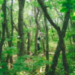 Lim Se-mi Instagram - 운탄고도 SKYRACE 지난 해 울릉도에서 함께 한 마라닉식구들과 쥬디런 은주감독님과 함께 다시 자연을 달렸습니다. 뜨거운 볕에서 함께 뛰고 응원해주신 분들 멋졌고 힘이 났습니다. 이렇게 달릴 수 있게 해주는 자연에게 무한한 감사를. 📷 명희언니 @bobae.jpg #UTGD #SKYRACE #트레일러닝 #TrailRunning #마라닉 #쥬디런 #마라닉액터스 #굿러너컴퍼니 #운탄고도