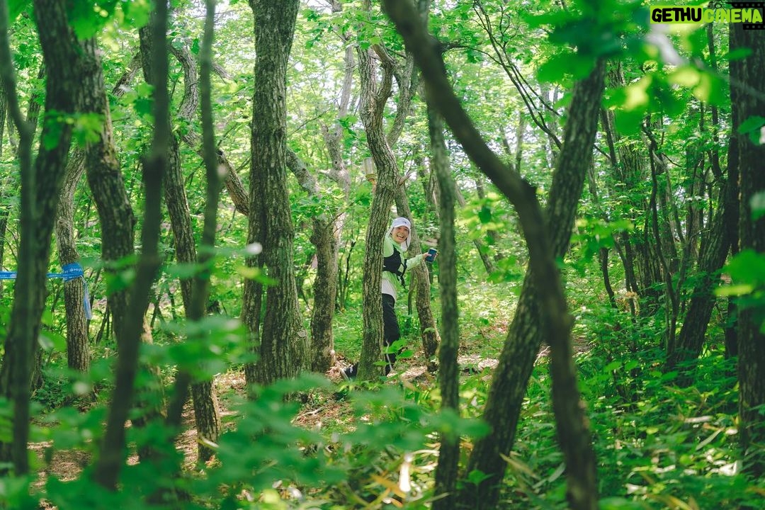 Lim Se-mi Instagram - 운탄고도 SKYRACE 지난 해 울릉도에서 함께 한 마라닉식구들과 쥬디런 은주감독님과 함께 다시 자연을 달렸습니다. 뜨거운 볕에서 함께 뛰고 응원해주신 분들 멋졌고 힘이 났습니다. 이렇게 달릴 수 있게 해주는 자연에게 무한한 감사를. 📷 명희언니 @bobae.jpg #UTGD #SKYRACE #트레일러닝 #TrailRunning #마라닉 #쥬디런 #마라닉액터스 #굿러너컴퍼니 #운탄고도