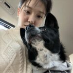 Lim Se-mi Instagram - Happy New Year 🐰
