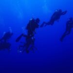 Lim Se-mi Instagram - Tubbataha Reefs Natural Park 🇵🇭 투바타하 산호초 국립공원 바다를 만나고 왔어요 MPA 해양보호구역으로 지정된 투바타하는 정말 수 많은 바다생명 물살이들이 가득하고 산호초도 셀 수 없는 종들이 함께 살아가고 있었어요. 🐠🪼🦐🐟🦞🐬🦀🐳🐋🐡🦈 유튜브 세미의절기 ‘처서’편에 바다 영상들이 있어요 🤿💙 📷 @rheec_ @hyojune_shim @tekyoungryu 📼@highmiles_official #tubbataha #투바타하 #ScubaDiving #세미의절기 #처서