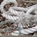 Lim Se-mi Instagram - FOR CLEAN OCEAN @pesce.co 바다를 아끼고 보호하는 페셰의 해변청소에 (@seashepherd_korea )시셰퍼드 활동가로 흑미와 다녀왔습니다. 몇 년 동안 다닌 무의도의 쓰레기들은 여전히 수산어업의 쓰레기가 넘쳐납니다. 바다는 지구에서 가장 많은 이산화탄소를 흡수한다고 합니다. 우리는 바다를 보호하고 지켜야 합니다. 🐋 #pesce #seashepherd #페셰 #시셰퍼드코리아 📷color @leewooyeols black @1_starim