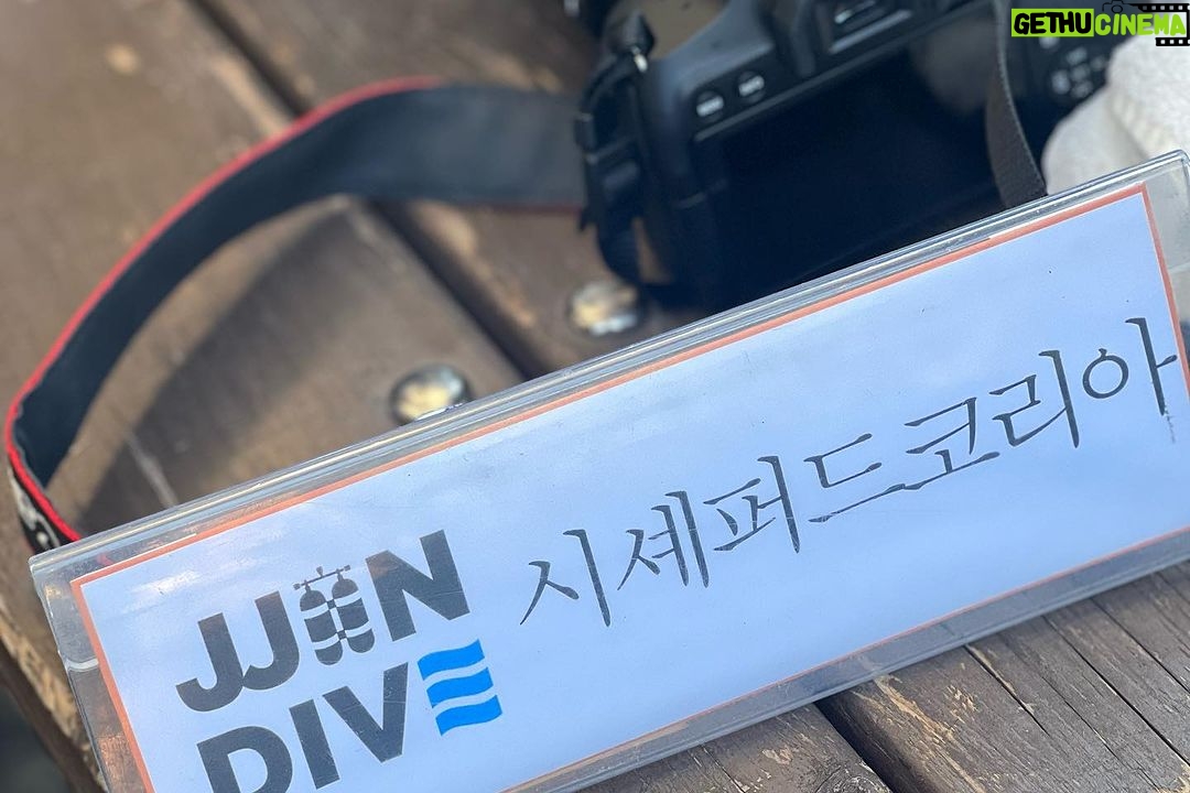 Lim Se-mi Instagram - @seashepherd_korea 시셰퍼드코리아 해양정화활동 짧게 담아보았어요. 세미의절기로 오세요 🌊🤿🏴☠️ 34m 바다 아래, 폐어구 노래미 물살이 넷, 문어선생님 한명 구출 🎥 @bada._.sai @foreverblue_inst 🎞️ @highmiles_official #seashepherd #시셰퍼드코리아 #세미의절기 #대서 #동해 #수중정화활동 #해양정화 #해양보호구역 #스쿠버다이빙 #폐그물 #폐통발 제이준다이브