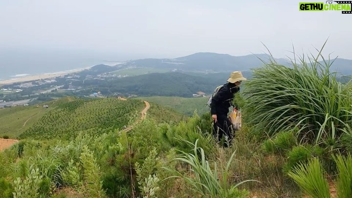 Lim Se-mi Instagram - @ecoline_ocean Fertiligging Fertilizer (거름) + Jogging (조깅) = 퍼티라이깅 2019년 4월 4일에 산불이 난 강원도에 새로운 묘목을 심고 천연 거름을 주는 트레일 러닝을 다녀왔습니다. 4년이 지났지만 산불 피해에 큰 숲이 사라진 것을 눈 앞에서 보니 참으로 안타까웠습니다. 작은 주머니에 작은 비료의 응원이 자연에 닿기를. 무사하고 건강하게 자라나 다시 울창한 숲이 되기를. 자연과 사람이 함께할 수 있는 프로그램을 만든 에코라인. 최고 ! 자연을 아끼고 지켜주고 함께하며 사랑합시다 🌲💚 #에코라인 #퍼티라이깅 #fertiligging Donghae