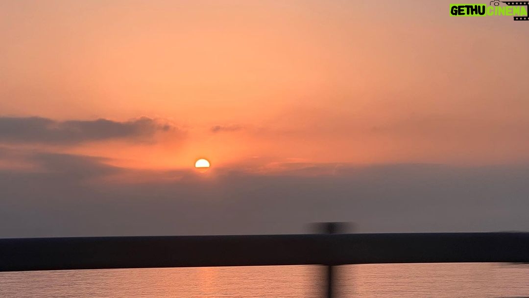 Lim Se-mi Instagram - @ecoline_ocean Fertiligging Fertilizer (거름) + Jogging (조깅) = 퍼티라이깅 2019년 4월 4일에 산불이 난 강원도에 새로운 묘목을 심고 천연 거름을 주는 트레일 러닝을 다녀왔습니다. 4년이 지났지만 산불 피해에 큰 숲이 사라진 것을 눈 앞에서 보니 참으로 안타까웠습니다. 작은 주머니에 작은 비료의 응원이 자연에 닿기를. 무사하고 건강하게 자라나 다시 울창한 숲이 되기를. 자연과 사람이 함께할 수 있는 프로그램을 만든 에코라인. 최고 ! 자연을 아끼고 지켜주고 함께하며 사랑합시다 🌲💚 #에코라인 #퍼티라이깅 #fertiligging Donghae