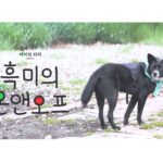 Lim Se-mi Instagram - 흑미의 절기보러 오세요 🩶 낮에 가장 긴 하지에 세미의절기로 ! #세미의절기 #흑미의온앤오프 #하지