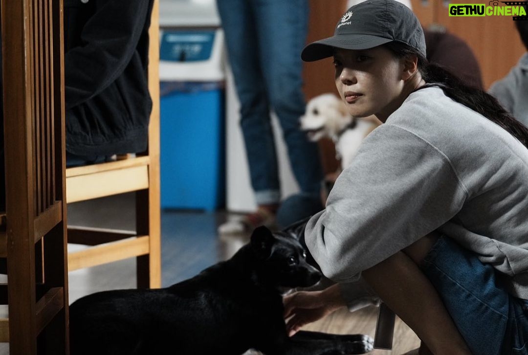 Lim Se-mi Instagram - 달뜨는 보금자리 @newmoon.sanctuary @donghaemul_alw 우유와 고기로 착취되는 것이 아니라 생명을 가진 동물로 늙어가도록 만들어진 소들의 보금자리(Sanctuary) 강원도 인제에 있는 동물해방물결의 달뜨는 보금자리에 다녀왔어요. 소들이 좋아하는 양삼(KENAF)이라는 식물도 심었습니다. 양삼은 이산화탄소 흡수 능력이 뛰어나 기후 위기 대응 식물이래요. 지난해 구조되고 임시축사에서 만났을 때와는 냄새도 모습도 달랐습니다. 이들은 자유로이 걷기도 앉아 쉬기도 눕기도 하고 자신의 털을 정리하기도 하며 궁금한 것은 다가가 보고 냄새를 맡았어요. 나의 룸메이트 흑미와 다르지 않은 느끼는 존재였습니다. 멈춰버린 폐교와 뒷뜰에 꽃풀소 생명이, 청년들이 함께 마을 공동체가 되었습니다. 소들을 살리니 마을이 살아납니다. 마을 어르신들이 마을에서 나고 자란 채소로 직접 만든 비건 밥상도 맛나고 든든하게 잘 먹었습니다 ! #동물해방물결 #달뜨는보금자리 #느끼는모두에게자유를 📷 @leeseung_chan 강원도 인제군