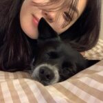 Lim Se-mi Instagram - 연말정산 2022 🐯
