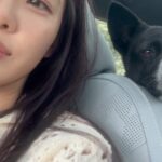 Lim Se-mi Instagram – 국제 강아지의 날🐾 동물들이 모두 평화롭기를 – 

* 엄마가 드라마를 보시곤 집 밖에 나가면 조심하라고(?) 전화가 왔어요. 드라마는 드라마로 즐(?)기시고 안전한 봄 되세요 🫶🏿