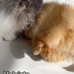 Lina Tejeiro Instagram - Un poco diferente… Pero volviste.