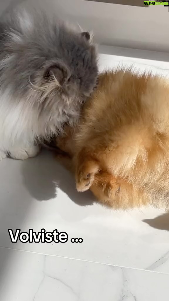Lina Tejeiro Instagram - Un poco diferente… Pero volviste.