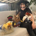 Lina Tejeiro Instagram - Halloween 🎃