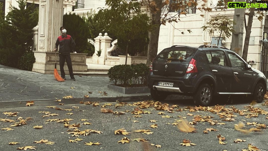 Linda Kiani Instagram - بر هم نزند دست خزان بزم ریاحین گر باد به بستان برد از زلف تو بویی… #سعدی