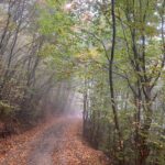 Linda Kiani Instagram - یه روز جذاب پاییزی🍂 وچقدر زیبااااااا بود… 🍁