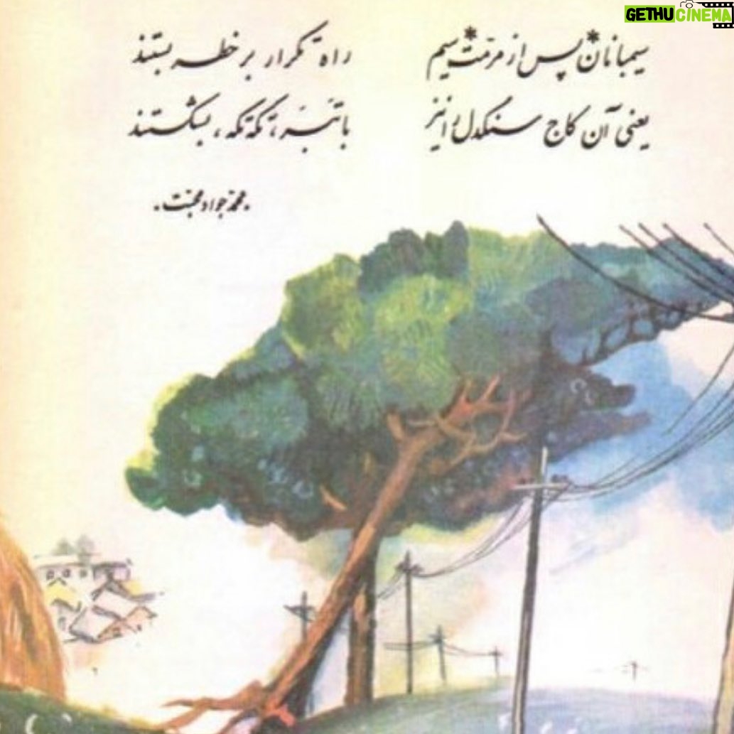 Linda Kiani Instagram - در کنار خطوط سیم پیام خارج از ده دو کاج روئیدند سالیان دراز رهگذران آن دو را چون دو دوست می دیدند یکی از روزهای سرد پاییزی زیر رگبار و تازیانه باد یکی از کاج ها به خود لرزید خم شد و روی دیگری افتاد گفت ای آشنا ببخش مرا خوب در حال من تامل کن ریشه هایم ز خاک بیرون است چند روزی مرا تحمل کن کاج همسایه گفت با تندی مردم آزار؛ از تو بیزارم دور شو؛ دست از سرم بردار من کجا طاقت تو را دارم؟! بینوا را سپس تکانی داد یار بی رحم و بی مروت او سیم ها پاره گشت و کاج افتاد بر زمین نقش بست قامت او مرکز ارتباط دید آن روز انتقال پیام ممکن نیست گشت عازم گروه پی جویی تا ببیند که عیب کار از چیست سیمبانان پس از مرمت سیم راه تکرار بر خطر بستند یعنی آن کاج سنگدل را نیز با تبر تکه تکه بشکستند #محمدجوادمحبت چهارم دبستان