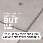 Lindsey Stirling Instagram – Which are you?