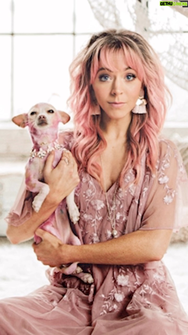 Lindsey Stirling Instagram - #longwayhome
