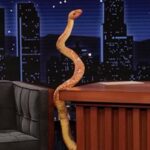 Lionel Richie Instagram - The suspense is over! The snake is out of the bag... 🐍💥 did you see me loose it on @jimmykimmellive ? 😩