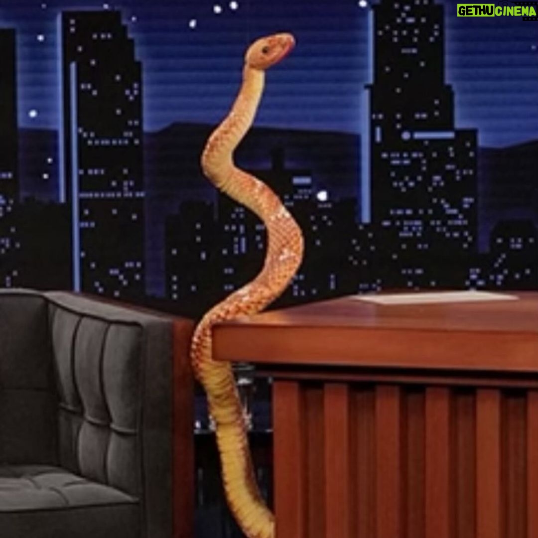 Lionel Richie Instagram - The suspense is over! The snake is out of the bag... 🐍💥 did you see me loose it on @jimmykimmellive ? 😩