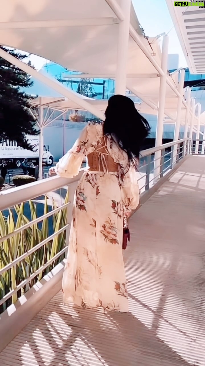 Lis Vega Instagram - Todo tiene su momento ✨🫶🏼♾️ Empatía, paciencia, fe, bondad , amor , perseverancia, gratitud, fuerza, actitud, luz, energía , paz , enfoque 🤍 #vibes #undiaalavez #soloporhoy #mylife 𝓜𝔂 𝓵𝓲𝓯𝓮