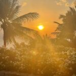 Lisa Haydon Instagram – 2022 outlook 💛☀️ 💛
