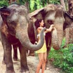 Lisa Haydon Instagram - 🐘 sandwich