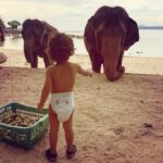 Lisa Haydon Instagram - He brought bananas to feed the elephants and then was too scared to feed them to them. This is as close as he’d go 🐘🐘
