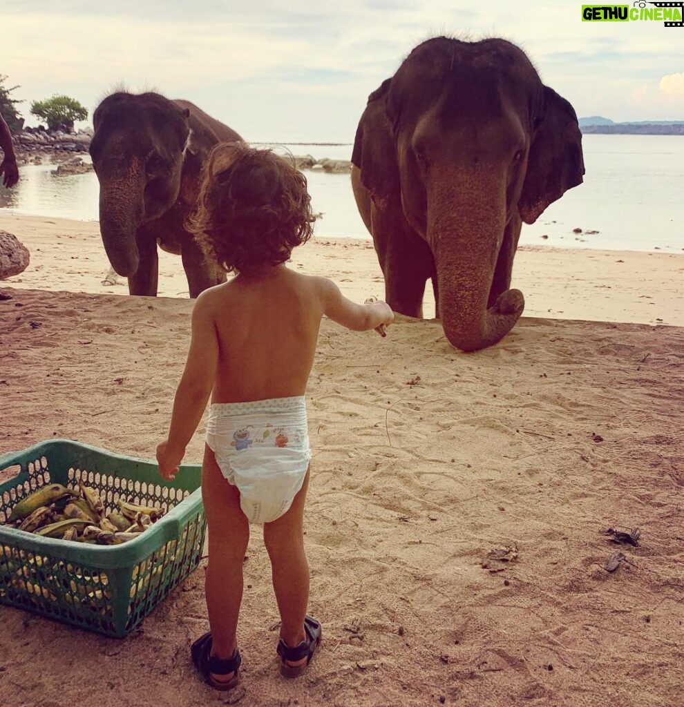 Lisa Haydon Instagram - He brought bananas to feed the elephants and then was too scared to feed them to them. This is as close as he’d go 🐘🐘