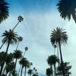 Lisa Haydon Instagram - 🌴 Los Angeles, California